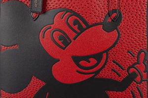 Five tote bags inspired by Mickey Mouse
