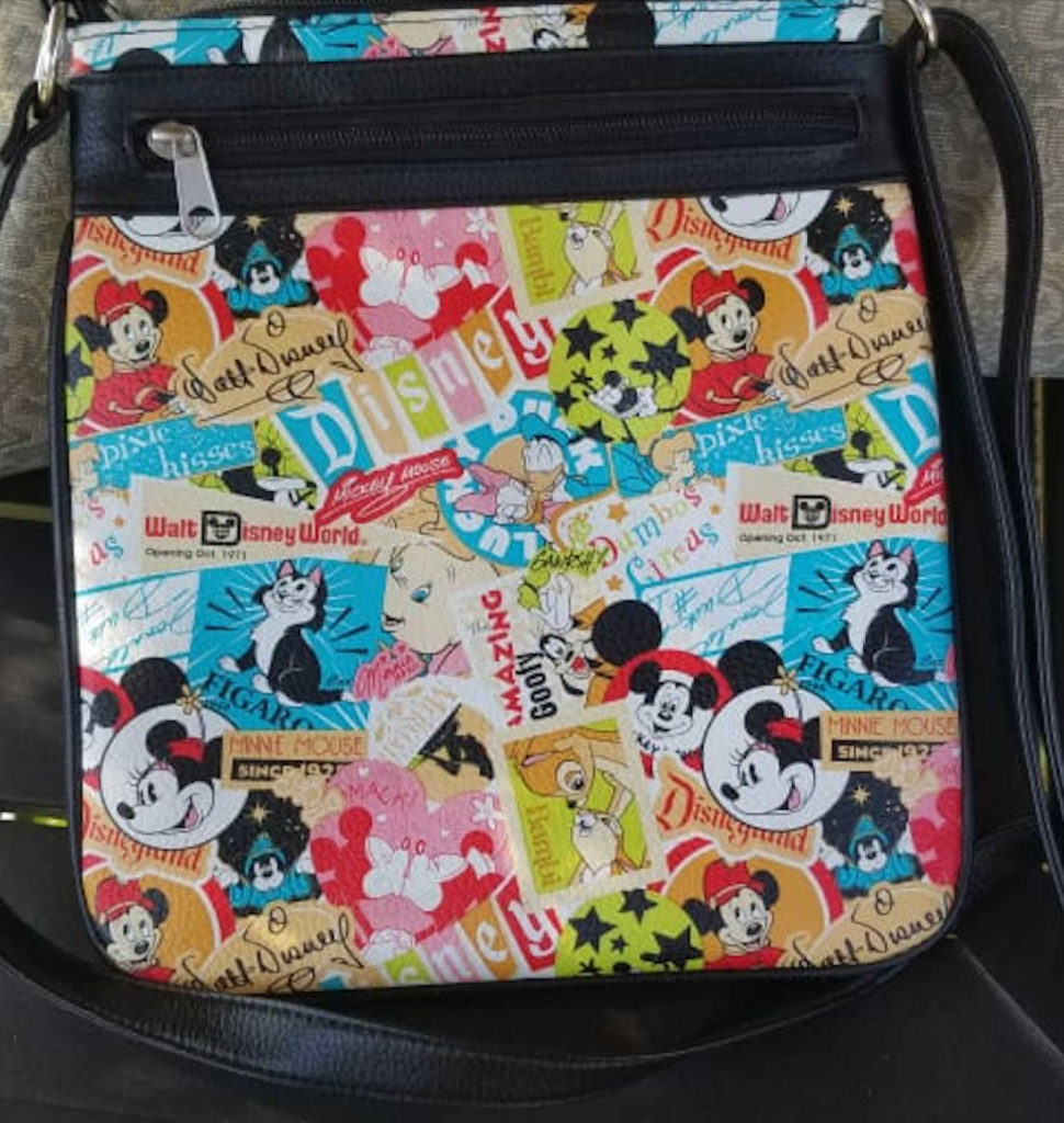 The outside graphics for the Disney World purse