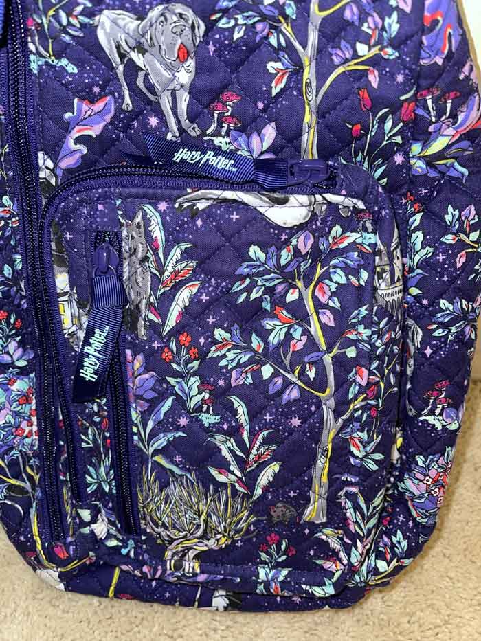 Front Pockets on the Forbidden Forest Sling Backpack