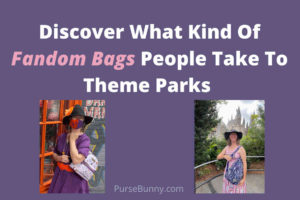 Survey Results About The Best Fandom Bags For Theme Parks