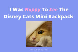 I Saw The Disney Cats Mini Backpack... Twice!