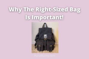 The Importance of the Right-Sized Bag